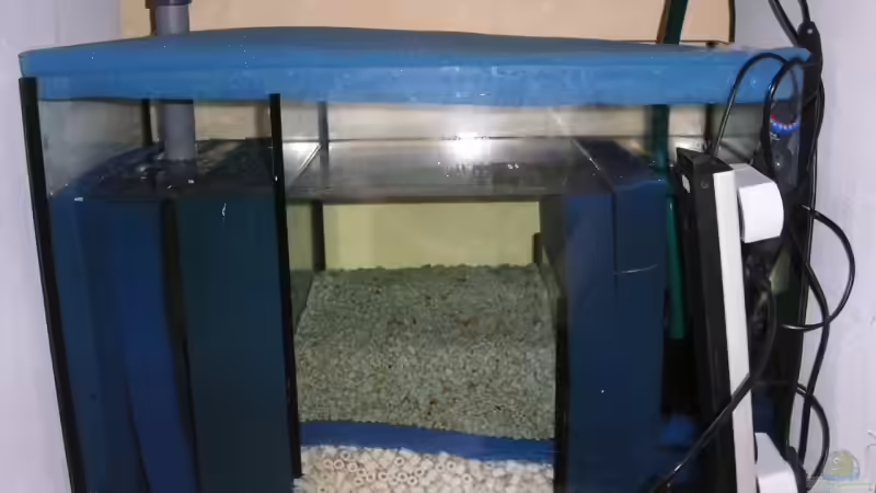 Technik im Aquarium Räuber aus dem Werder.... ähmm Malawisee von Wesermalawi (19)