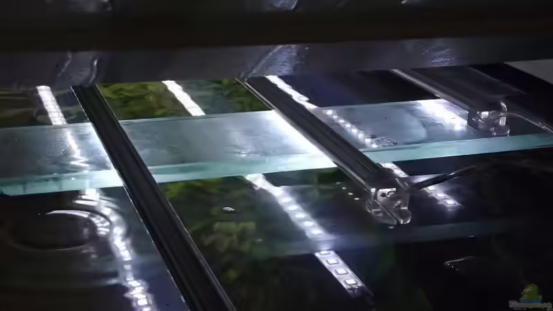 Technik im Aquarium Rainbowland (aufgelöst) von Dr. Manhattan (25)