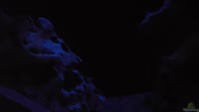 Technik im Aquarium Raumteiler von Biosphaeren (7)