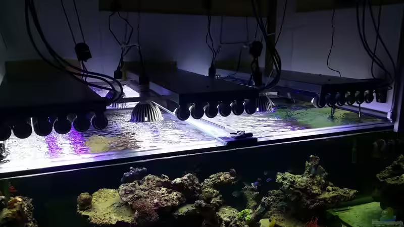 Technik im Aquarium Raumteiler von slobe (70)