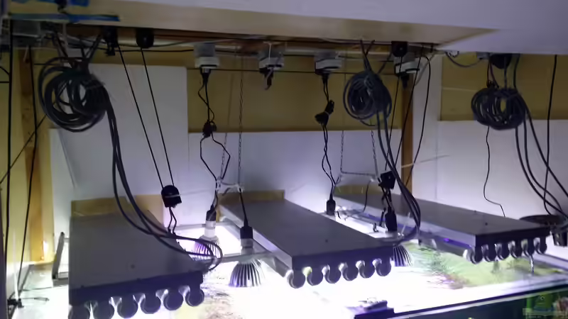 Technik im Aquarium Raumteiler von slobe (71)