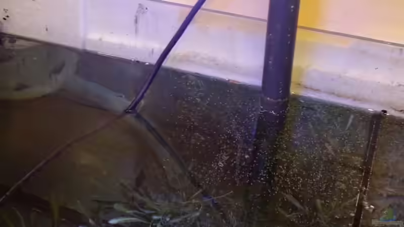 Technik im Aquarium Raumteiler von slobe (74)