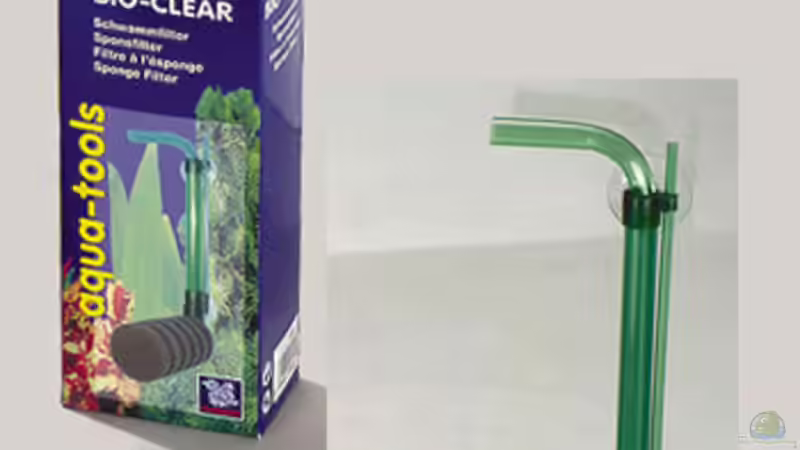 Technik im Aquarium Red Bee Garnelen von Lukas Szewczyk (7)