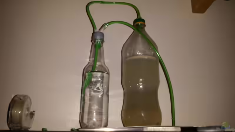 Technik im Aquarium Red/Black Bee Becken von Aqua (7)