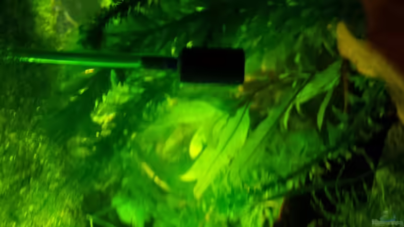 Technik im Aquarium Red/Black Bee Becken von Aqua (8)