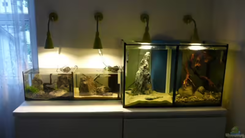 Technik im Aquarium Red Fire Garnelenbecken (aufgelöst) von Zigermandli (4)