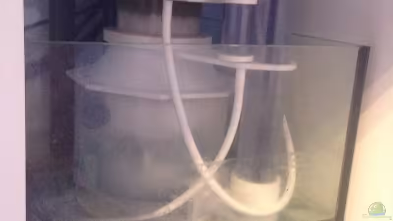 Technik im Aquarium Reef Dream von kutlesch (8)