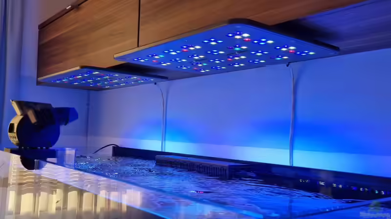 Technik im Aquarium Reef Dream von The_Lizardking (18)