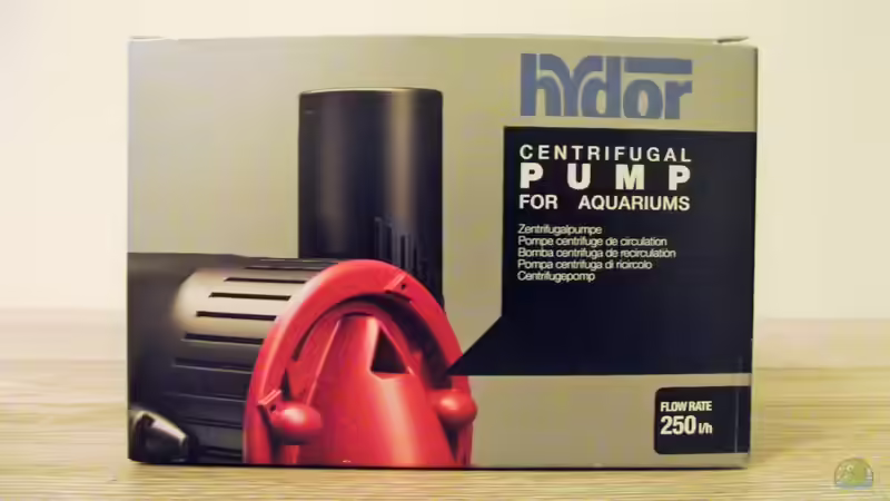 Technik im Aquarium Regenwaldpfütze.... von MichaB (6)