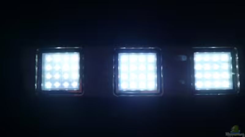 Technik im Aquarium RF von Cichlid Power (10)