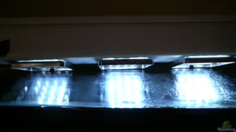 Technik im Aquarium RF von Cichlid Power (13)