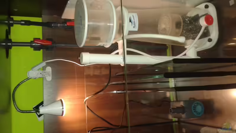 Technik im Aquarium Riffkanten cube von Alex Knorr (12)