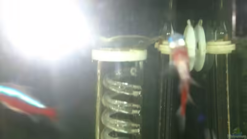 Technik im Aquarium Rio 125 von Nero (7)