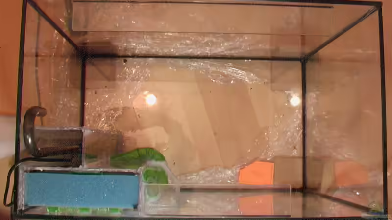 Technik im Aquarium Rio Negro von Tilo Schmiedl (21)