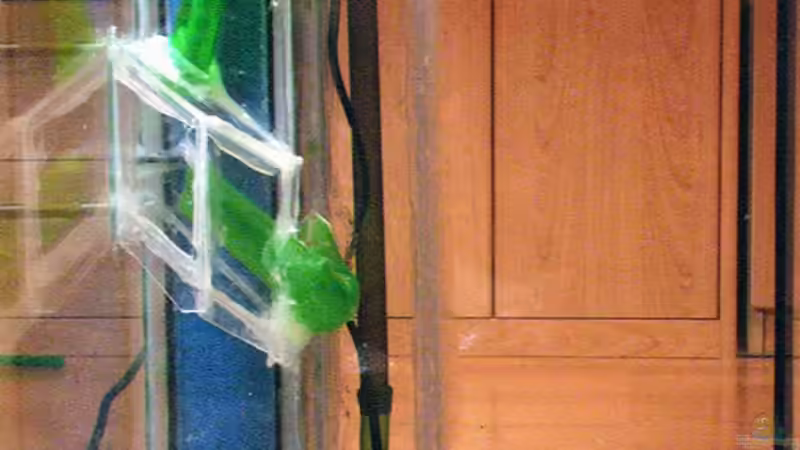 Technik im Aquarium Rio Negro von Tilo Schmiedl (24)