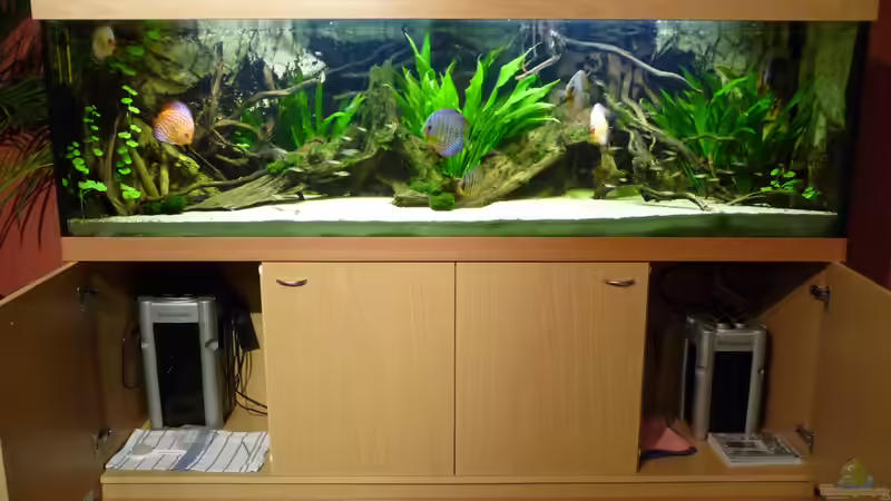 Technik im Aquarium Rio Pampo (aufgelöst) von carkl (24)