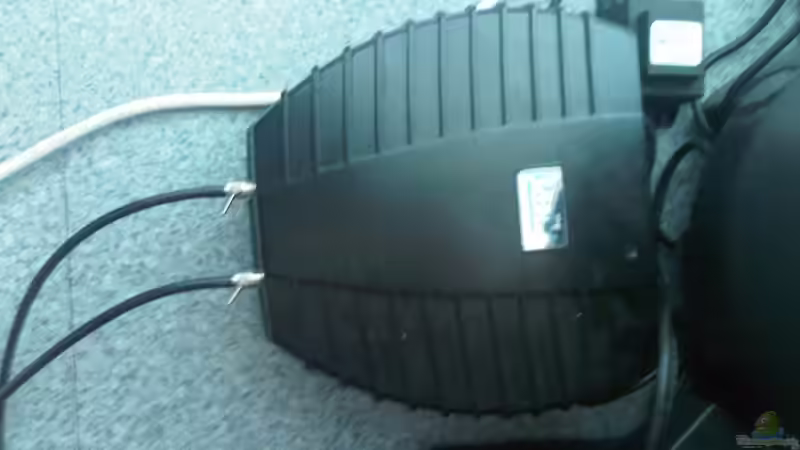 Technik im Aquarium Rochen/ Arowana Becken von Michael Jahn (5)