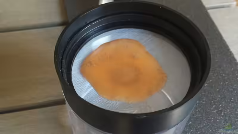 Technik im Aquarium Rocky Malawi von AJ (24)