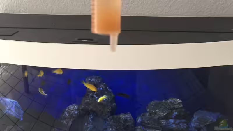 Technik im Aquarium Rocky Malawi von AJ (25)