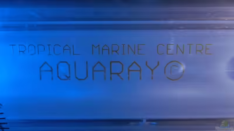 Technik im Aquarium Rockzolid Cave (Aufgelöst) von marxbre (36)