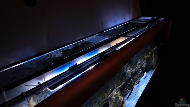 Technik im Aquarium Rockzolid Cave (Aufgelöst) von marxbre (37)