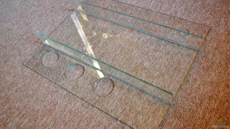 Technik im Aquarium Rot-Grün-Schwäche von rodpod (11)