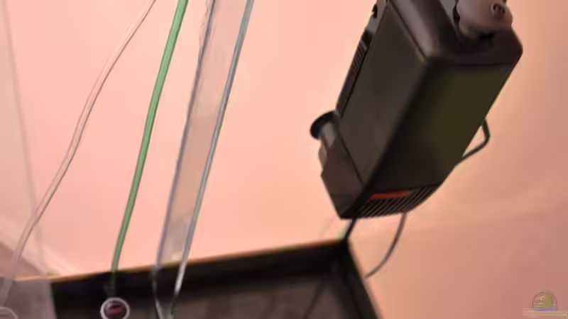 Technik im Aquarium Rot-Grün-Schwäche von rodpod (14)