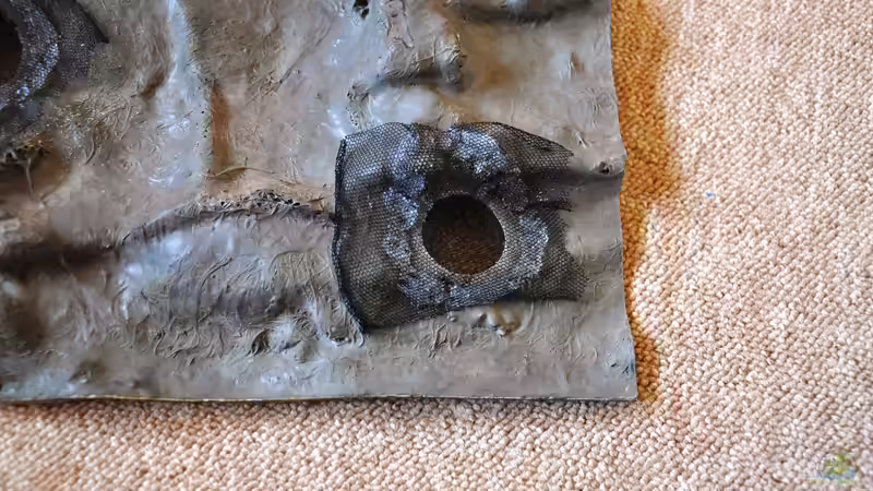 Technik im Aquarium Rot-Grün-Schwäche von rodpod (15)