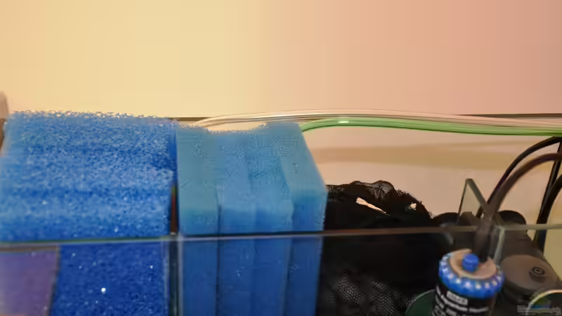 Technik im Aquarium Rot-Grün-Schwäche von rodpod (21)