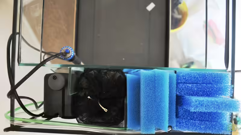 Technik im Aquarium Rot-Grün-Schwäche von rodpod (22)