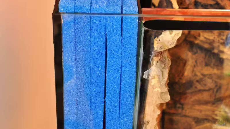 Technik im Aquarium Rot-Grün-Schwäche von rodpod (23)