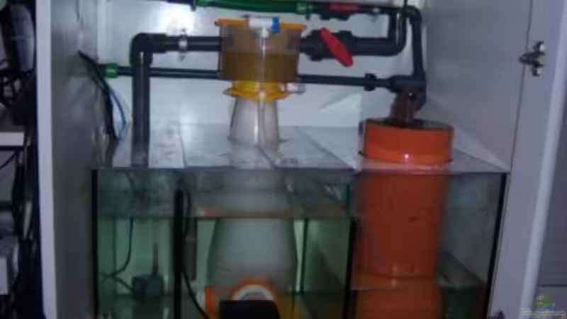 Technik im Aquarium Rundbogenglasaquarium von Jürgen Stapf (18)