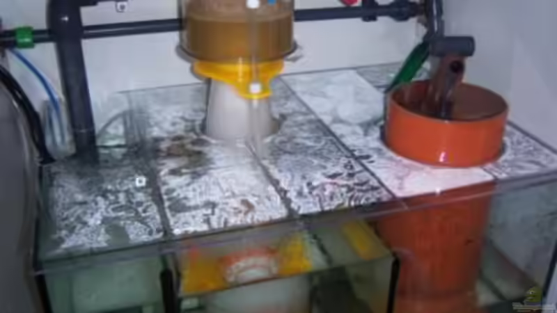 Technik im Aquarium Rundbogenglasaquarium von Jürgen Stapf (19)