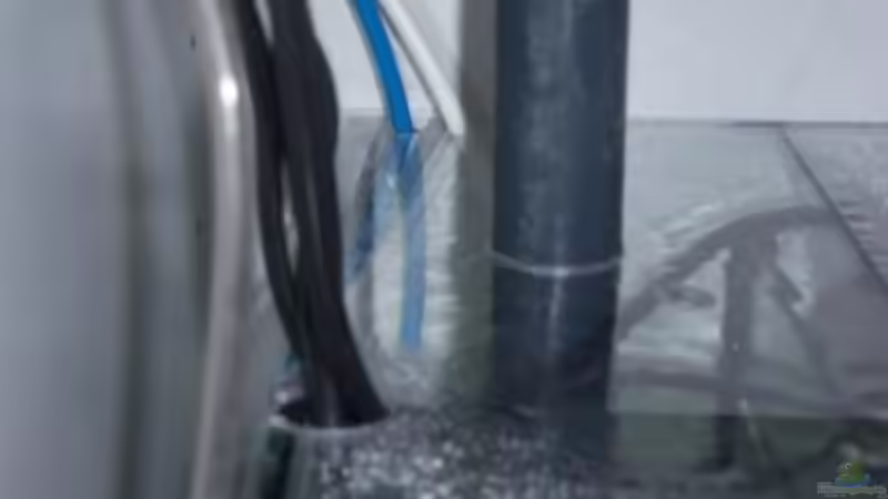 Technik im Aquarium Rundbogenglasaquarium von Jürgen Stapf (20)