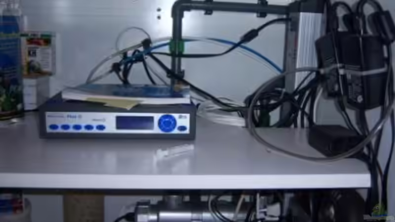 Technik im Aquarium Rundbogenglasaquarium von Jürgen Stapf (23)