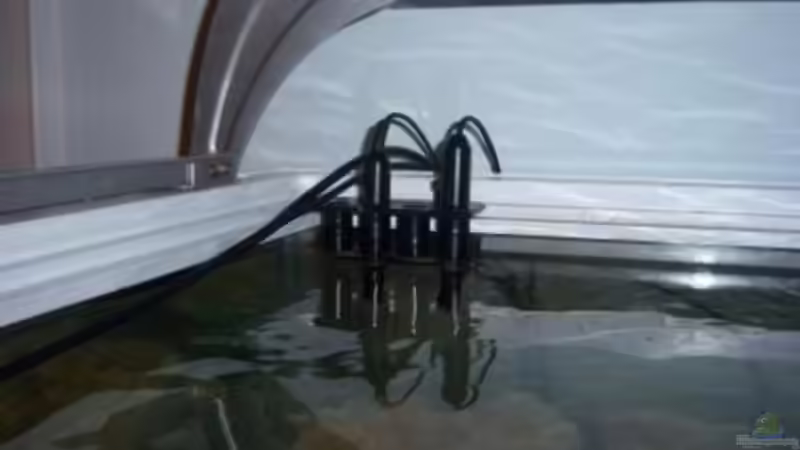 Technik im Aquarium Rundbogenglasaquarium von Jürgen Stapf (24)