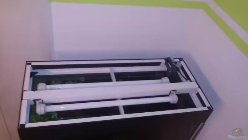 Technik im Aquarium Salmler-Suppe (Okt.2015 abegaut) von Markus J. (20)