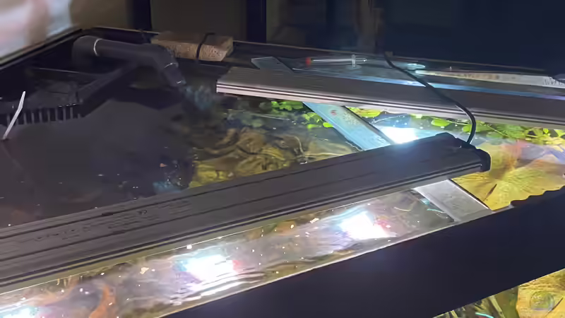 Technik im Aquarium Salmlerdelta (aufgelöst) von Gregorsimsel (18)