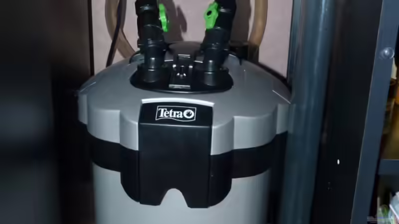 Technik im Aquarium S&amp;N 3 Vision 260 Liter Südamerika Becken von Stefan Runke (24)