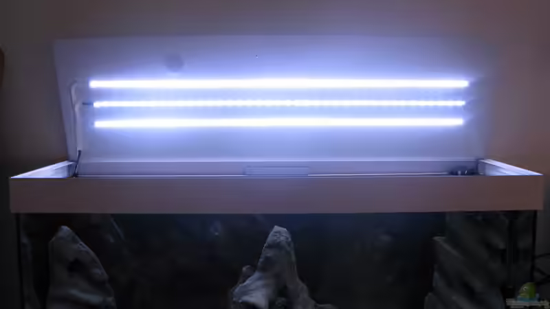 Technik im Aquarium Sand - und Freiwasserzone im Tanganjikasee von Miriam (26)