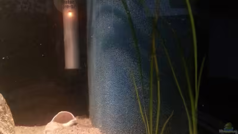 Technik im Aquarium Sand and Shells von Bitman (12)