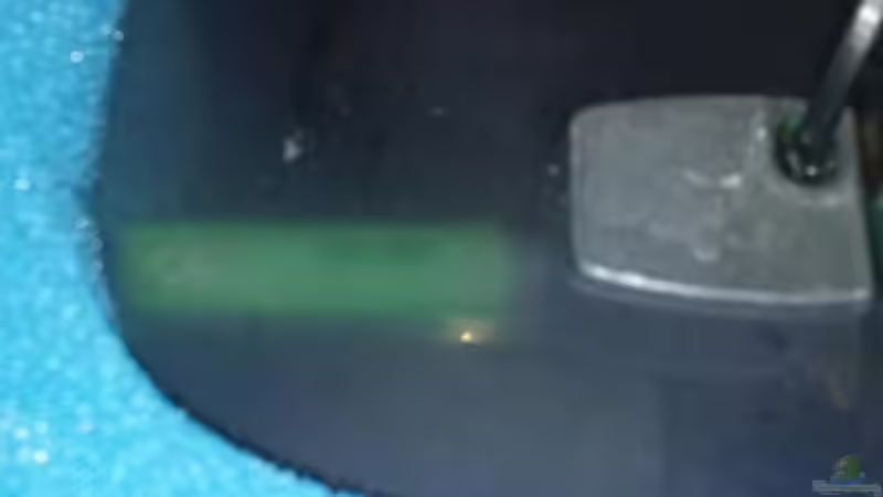 Technik im Aquarium Sand and Shells von Bitman (13)