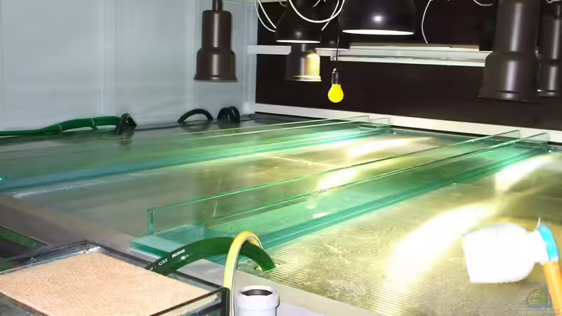 Technik im Aquarium schauanlage von o.m. (12)