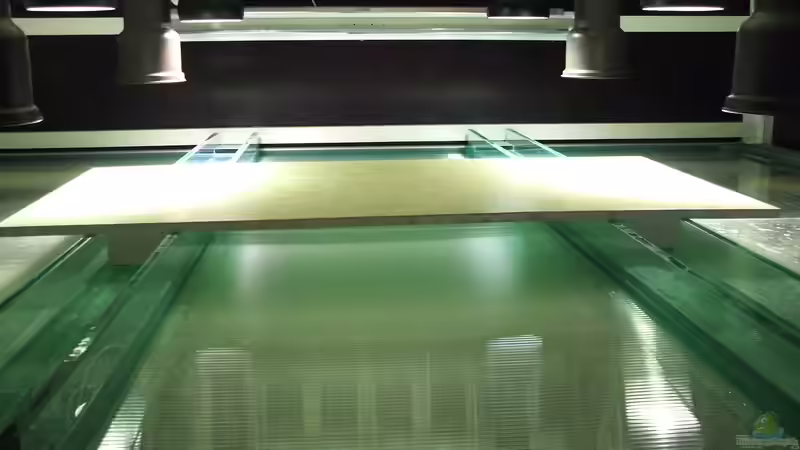 Technik im Aquarium schauanlage von o.m. (13)