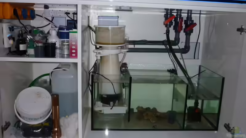 Technik im Aquarium Schwings Reef von Schwing (27)