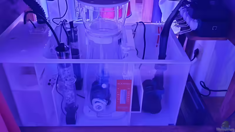 Technik im Aquarium see through the reef obsolete von The_Lizardking (23)