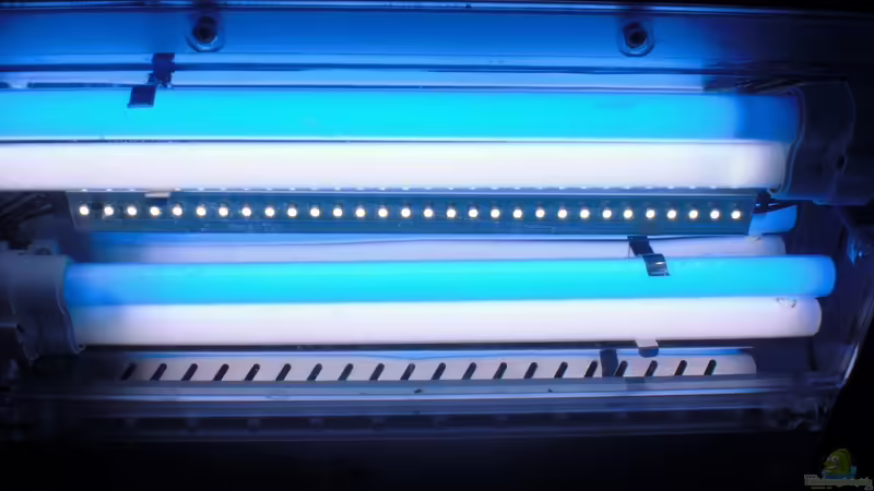 Technik im Aquarium Sera marin Biotop Cube 130 von Georg1983 (5)