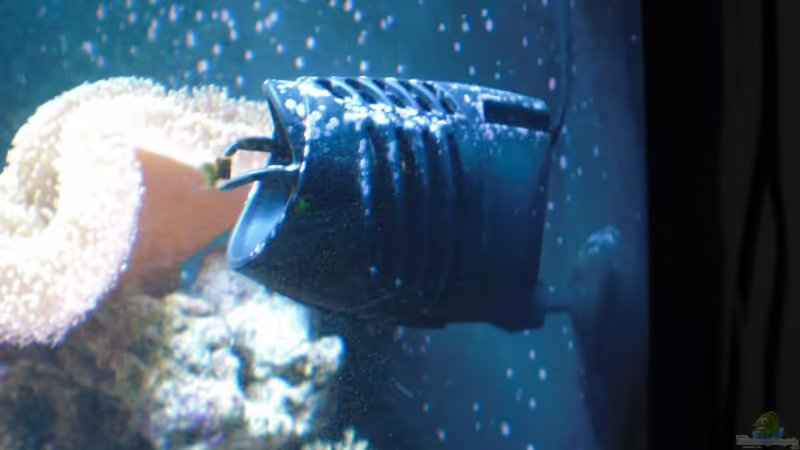 Technik im Aquarium Sera marin Biotop Cube 130 von Georg1983 (6)