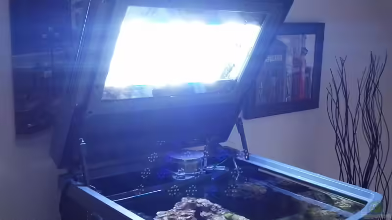 Technik im Aquarium Sera Marin LED 130 von KingTritonBS (5)