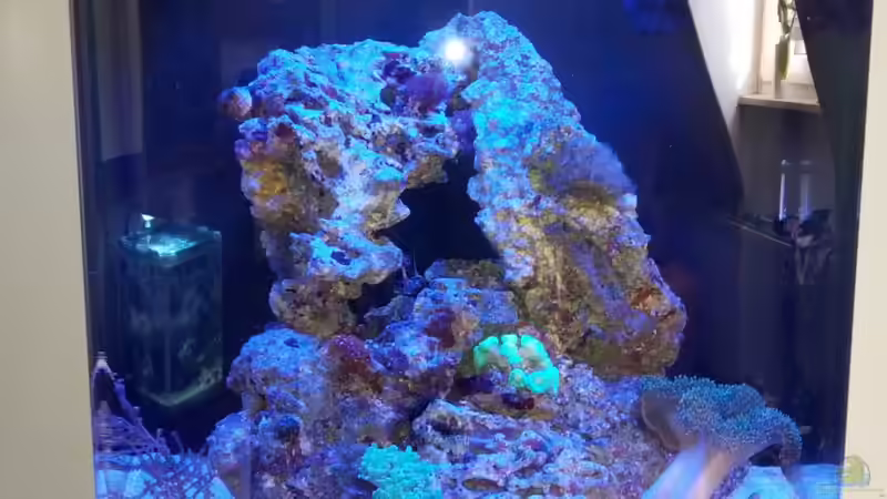 Technik im Aquarium Sera Marin LED 130 von KingTritonBS (8)